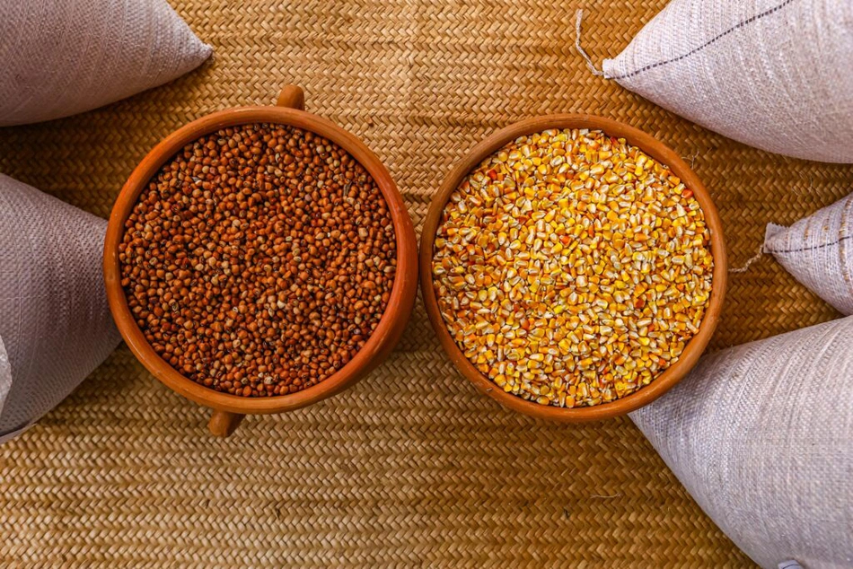 Doação de sementes.