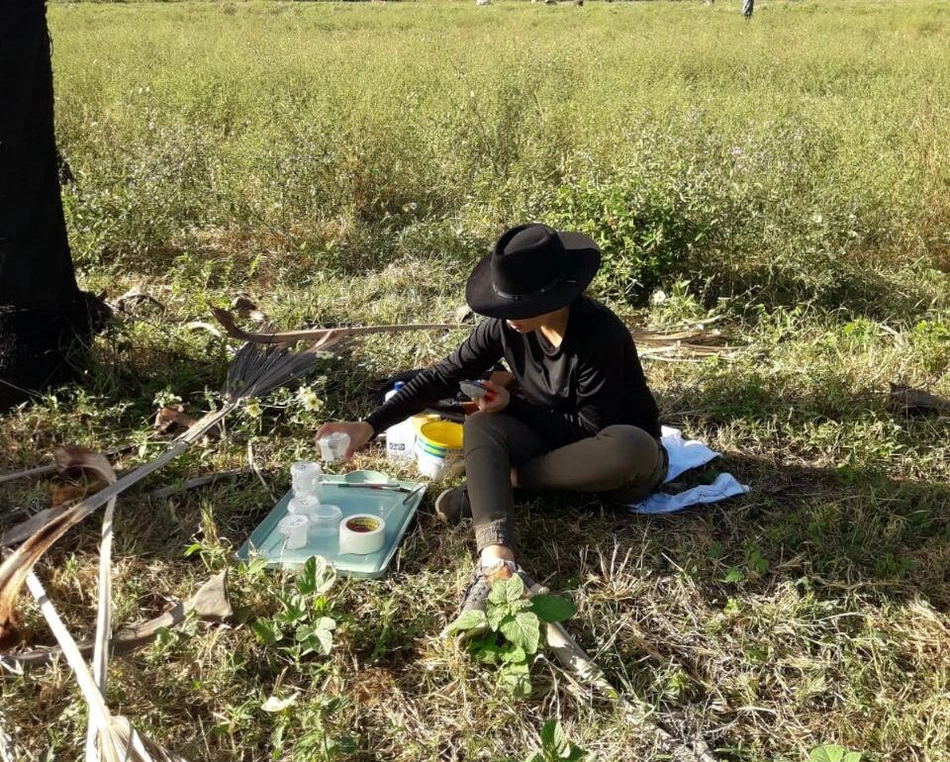 Pesquisas sobre abelhas.