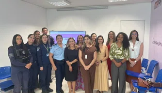 O Núcleo de Promotorias de Justiça de Defesa da Mulher Vítima de Violência Doméstica e Familiar (Nupevid).