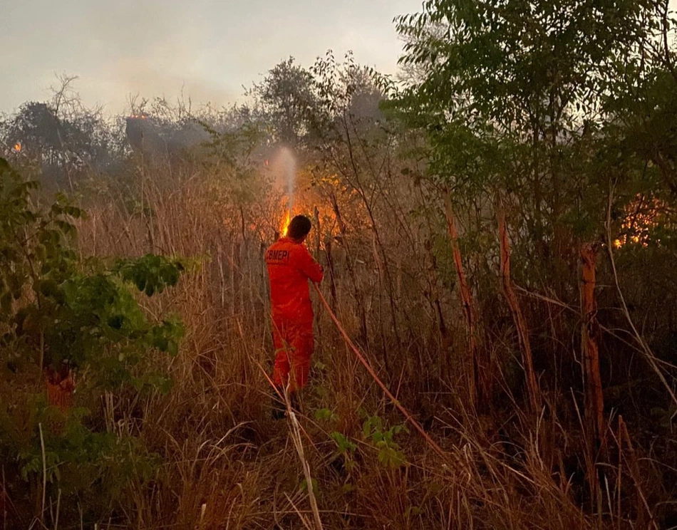 Combate à incêndio de grandes proporções em vegetação no município de Batalha