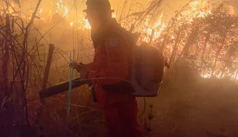 Combate à incêndio de grandes proporções em vegetação no município de Batalha