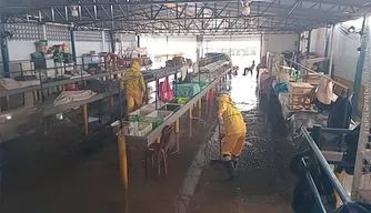 Limpeza no Mercado da Piçarra