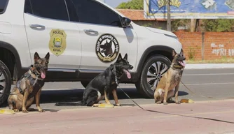 Núcleo de Operações com Cães.