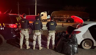 Quase 100 kg de maconha são apreendidos durante fiscalização na BR-316 em Picos