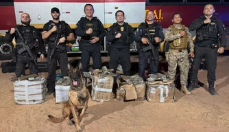 Polícia apreende 250 quilos de skank