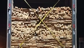 Caminhão transportava carga de madeira irregular