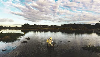 Exposição Piauí Afropindorâmico