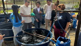 Companhia Porto Piauí