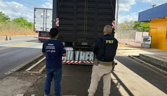 PRF flagra transporte irregular de animais