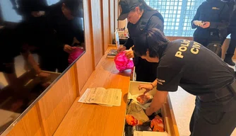 Operação Carbono Oculto 86