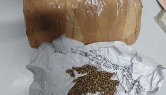 Aproximadamente 200 gramas de sementes de maconha