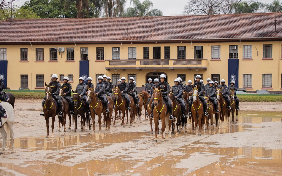 Cavalaria da Polícia Militar do Piauí