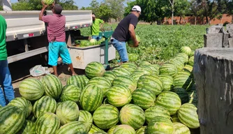 Entrega de 2,5 toneladas de melancia