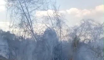 Incêndio em vegetação do Vamos Ver o Sol