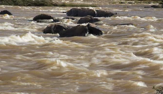 Bacia Hidrográfica do Rio Parnaíba