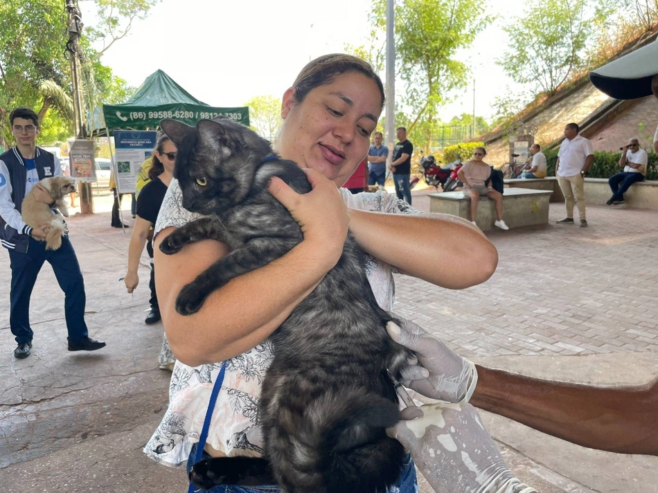 Vacinação contra raiva em animais
