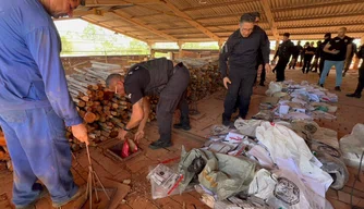 Mais de 300kg de drogas são incineradas pelas Polícia Civil do Piauí