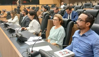 Ministério Público discute combate às queimadas e aos incêndios florestais em audiência na Alepi