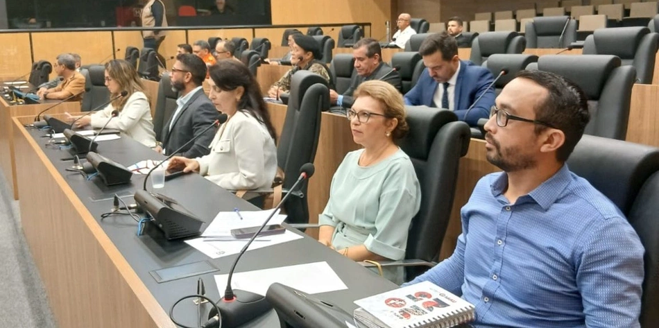 Ministério Público discute combate às queimadas e aos incêndios florestais em audiência na Alepi