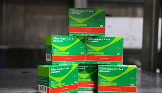 Nova vacina contra a dengue