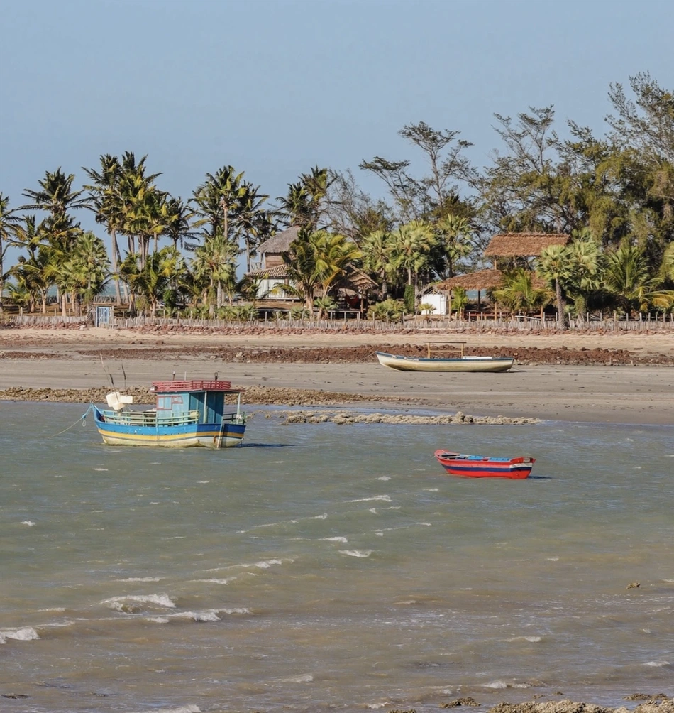 Barrinha, Cajueiro da Praia