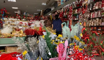 Comércio piauiense projeta crescimento no Natal