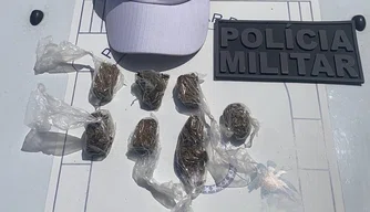 Materiais apreendidos