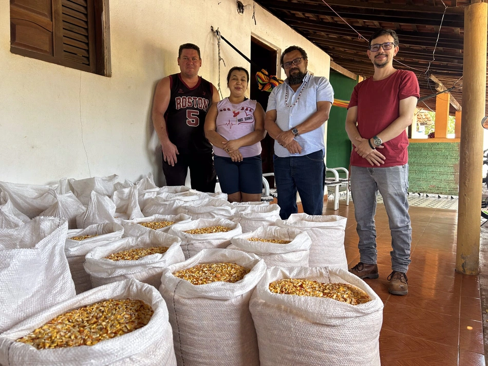 SAF inicia distribuição de sementes crioulas a agricultores piauienses para o ano-safra 2025/2026