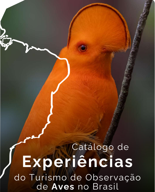 Capa do Catálogo de Experiência do Turismo de Observação de Aves no Brasil