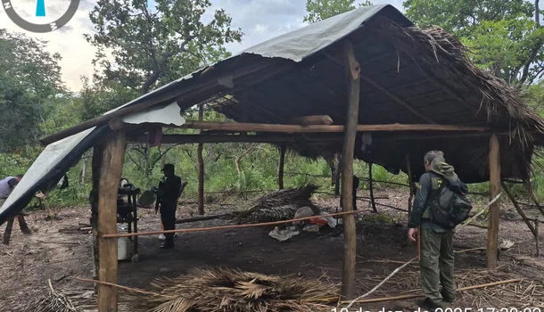 Operação combate desmatamento em área de preservação e prende suspeito em Bom Jesus