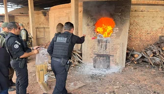 SSP-PI incinera drogas apreendidas no Piauí