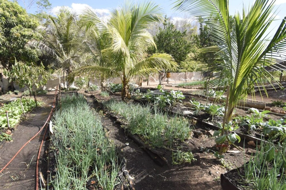 Agricultura familiar