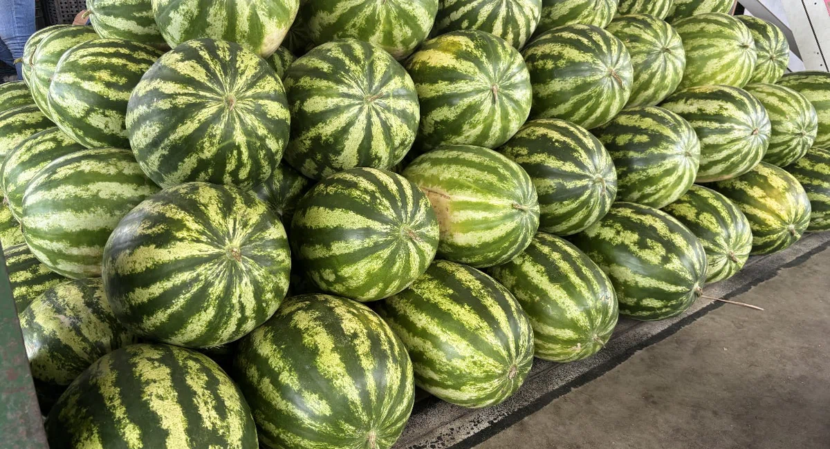 Frutas natalinas na Nova Ceasa