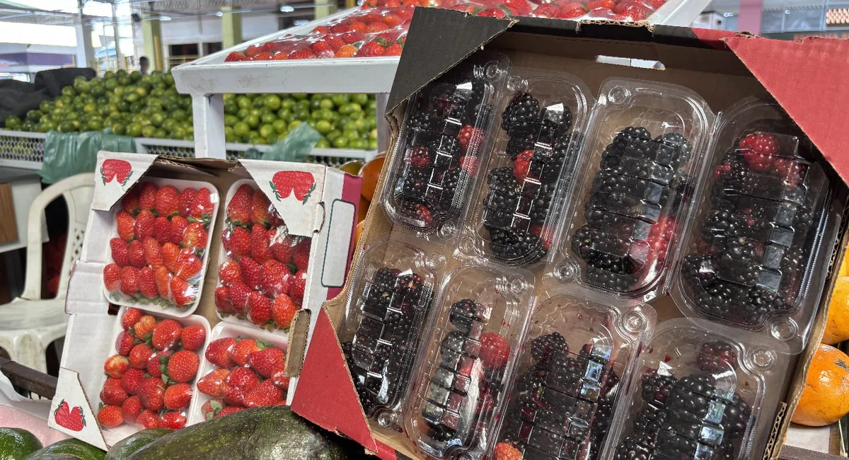 Frutas natalinas na Nova Ceasa