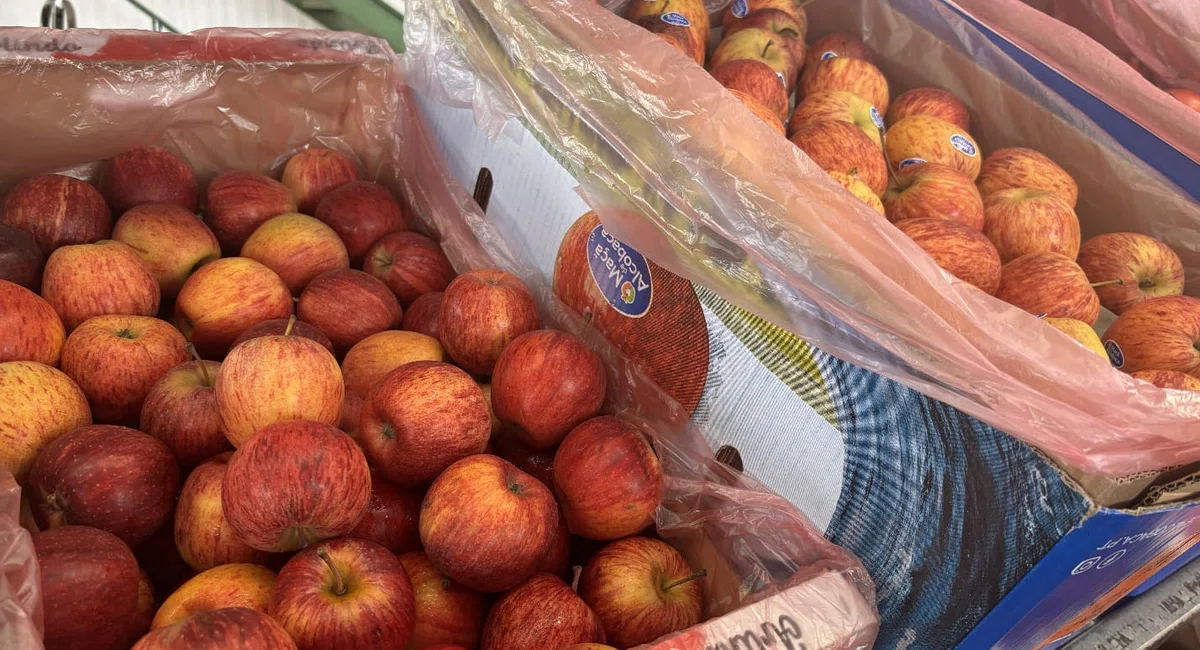 Frutas natalinas na Nova Ceasa