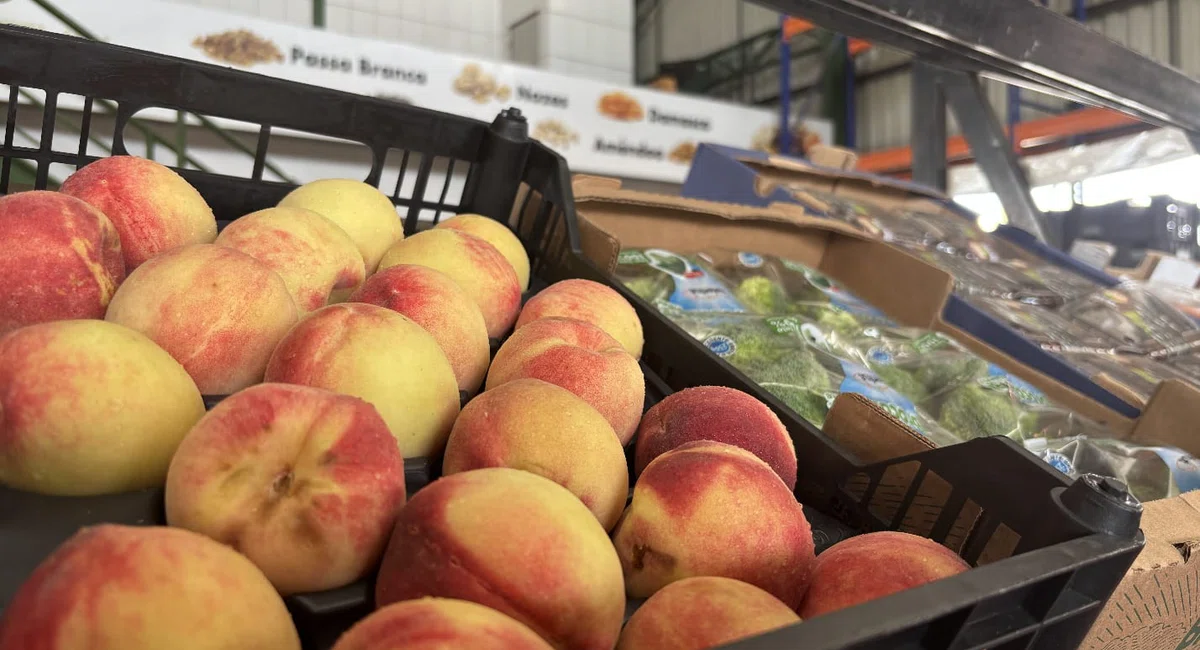 Frutas natalinas na Nova Ceasa