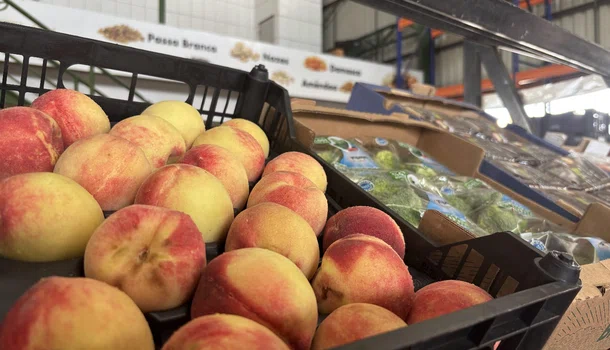 Frutas natalinas na Nova Ceasa