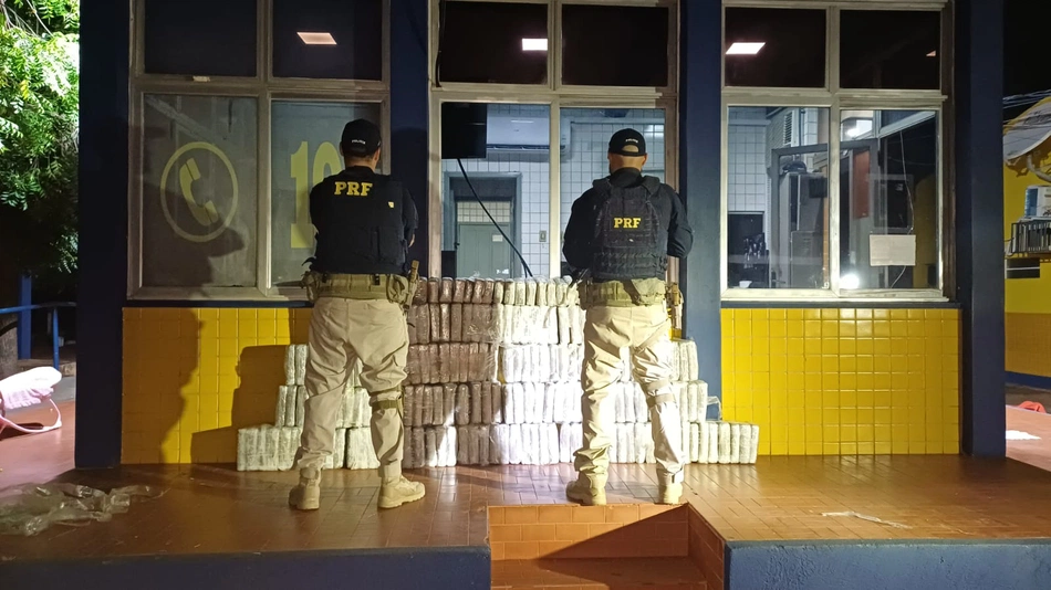 Apreensão de 200 kg de skunk, a  supermaconha 