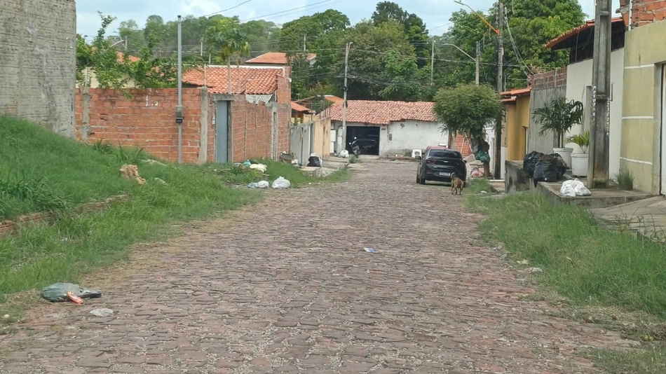 Falta de coleta de lixo