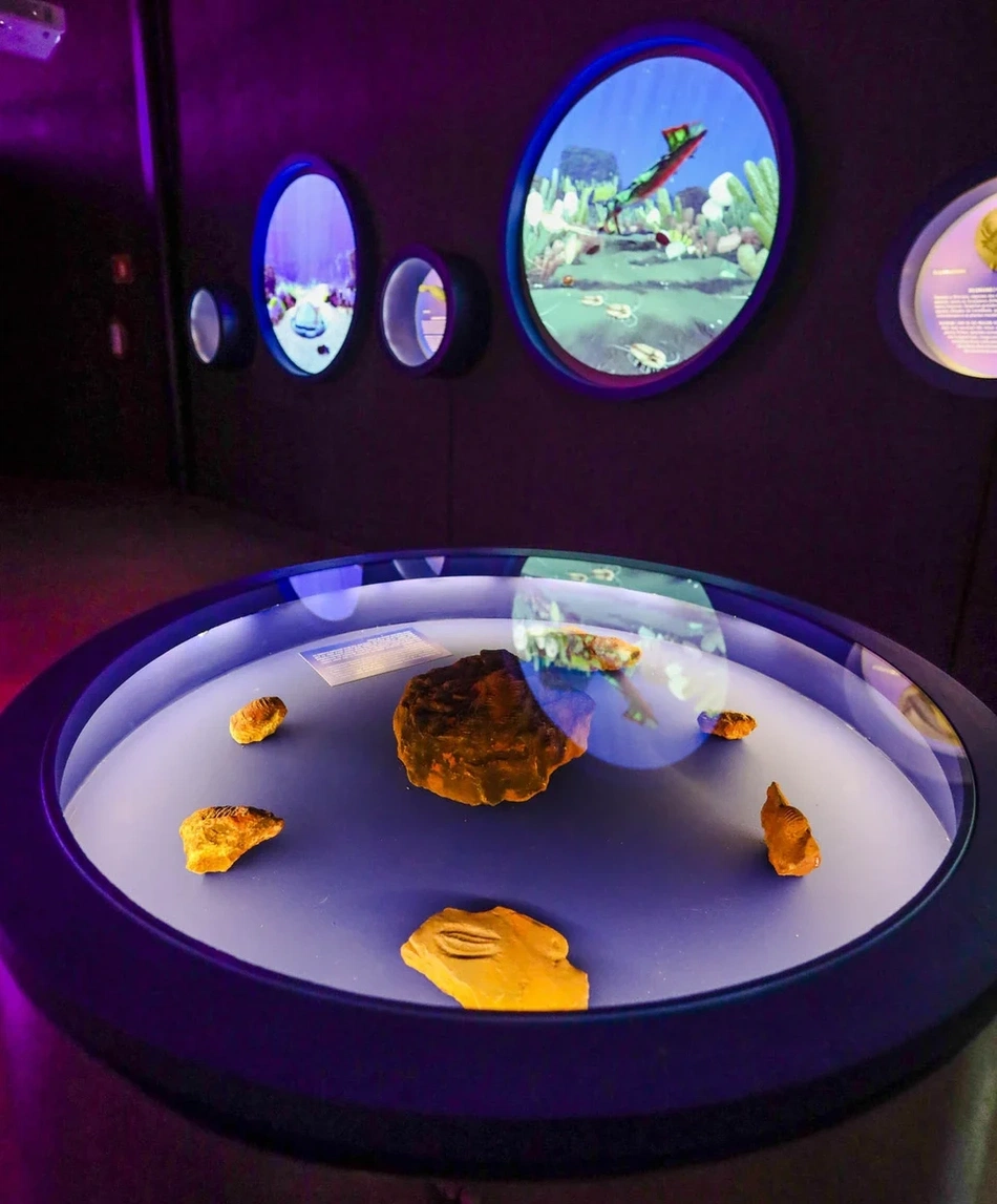 Museu da Natureza