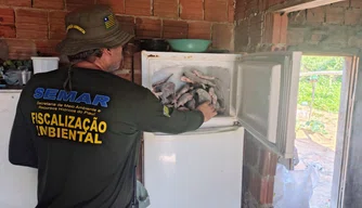 Semarh apreende 66 quilos de pescado