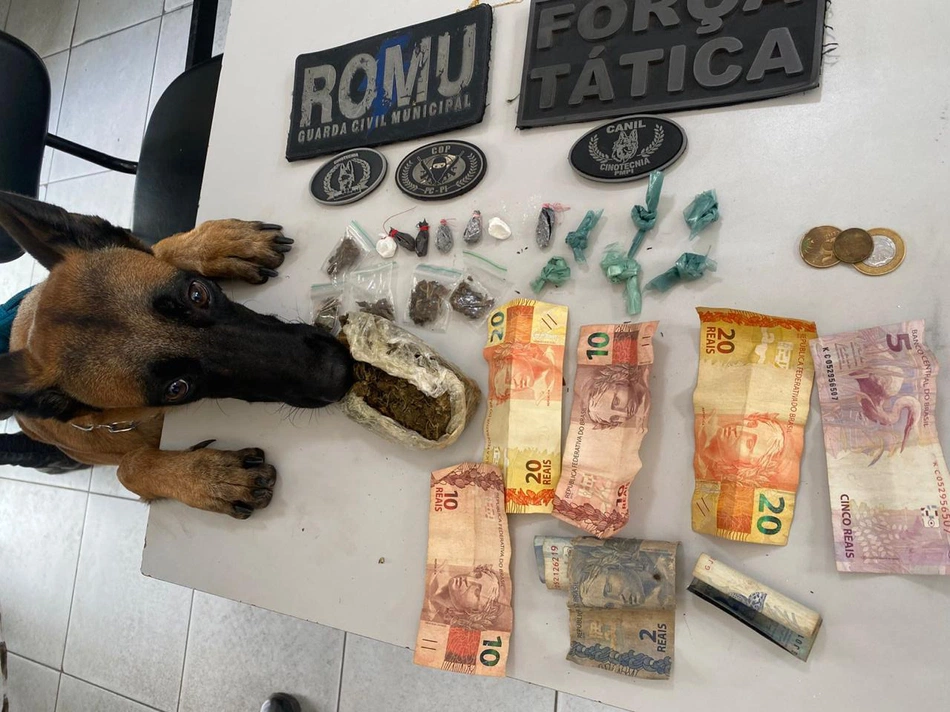 Cadela farejadora, Malu, e material apreeendido