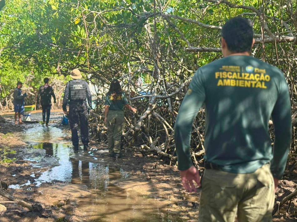Período de defeso do caranguejo-uçá no Piauí