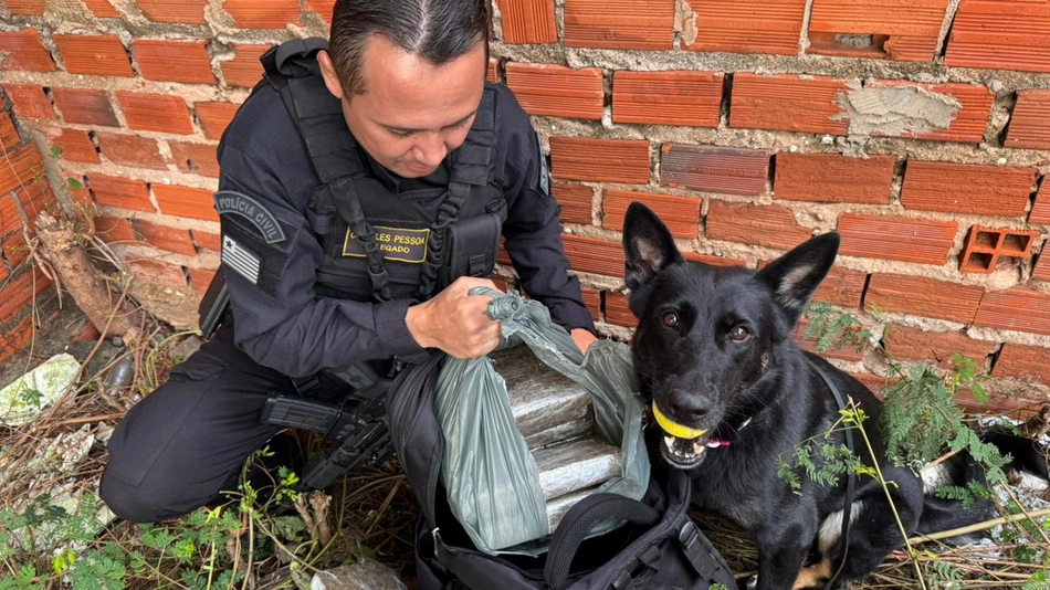 SSP apreende cerca de 25 quilos de droga em Teresina