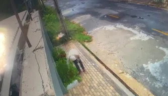 Homem furta planta em bairro da zona Leste de Teresina