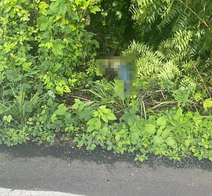 Corpo encontrado às margens de avenida em Teresina