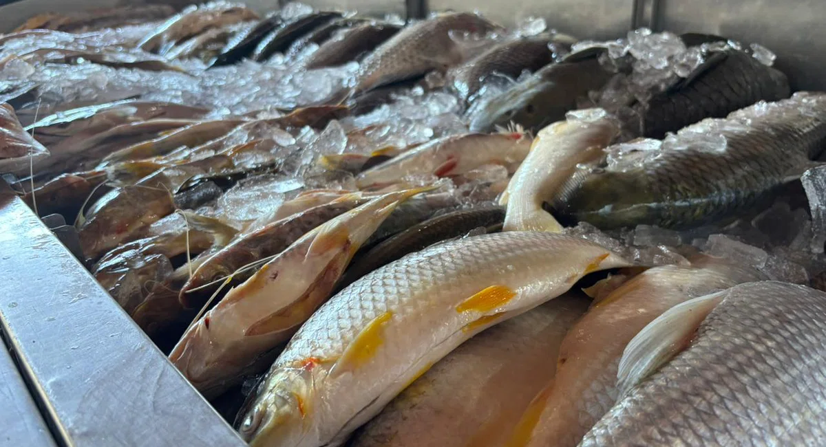 Mercado do Peixe de Teresina