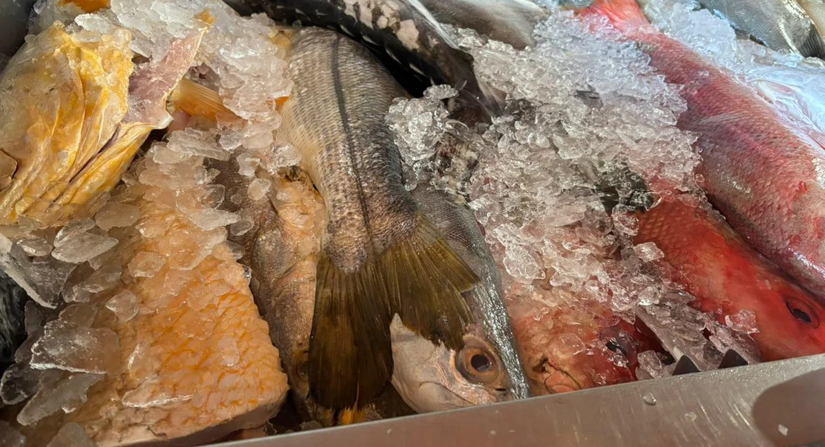 Mercado do Peixe de Teresina