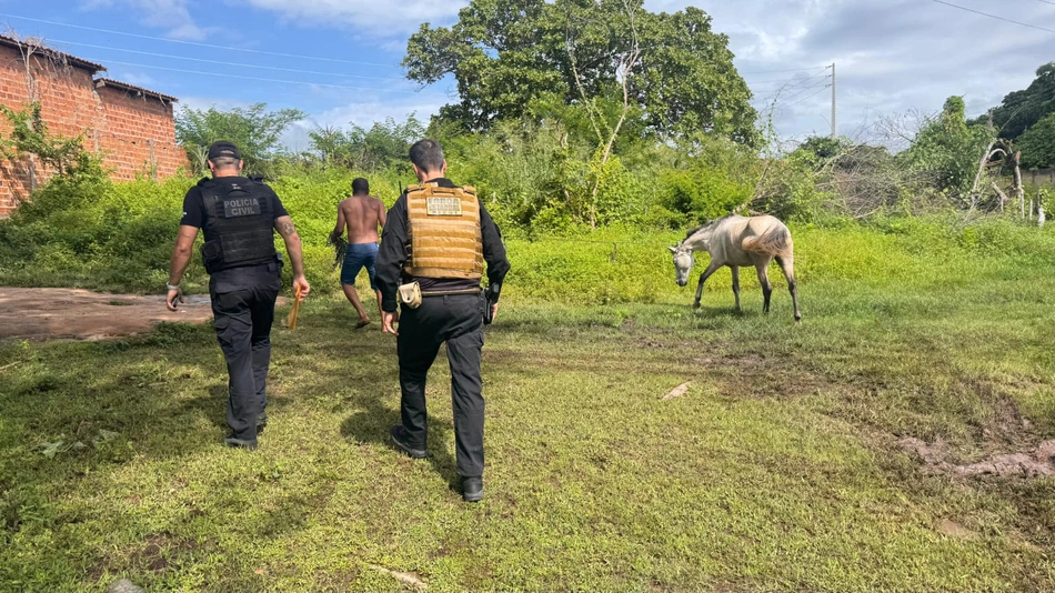 Operação Porteira Fechada em Floriano
