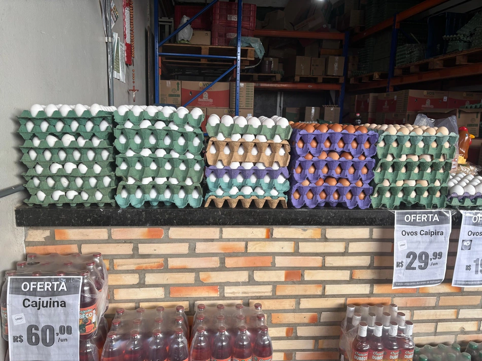 Cartelas de ovos